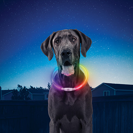 [NHOR-07S-R3] Niteize NiteHowl Rechargeable LED Safety Necklace - Disc-O Select