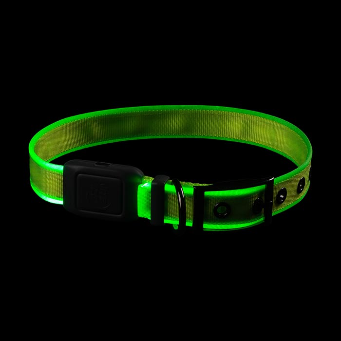 Niteize NiteDog Rechargeable LED Collar Large