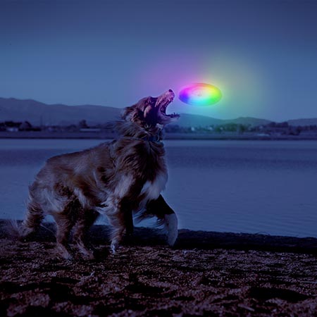 Niteize Flashflight® Dog Discuit™ LED Flying Disc - Disc-O