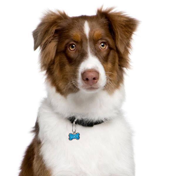 NiteIze MicroLink Pet Tag Carabiner