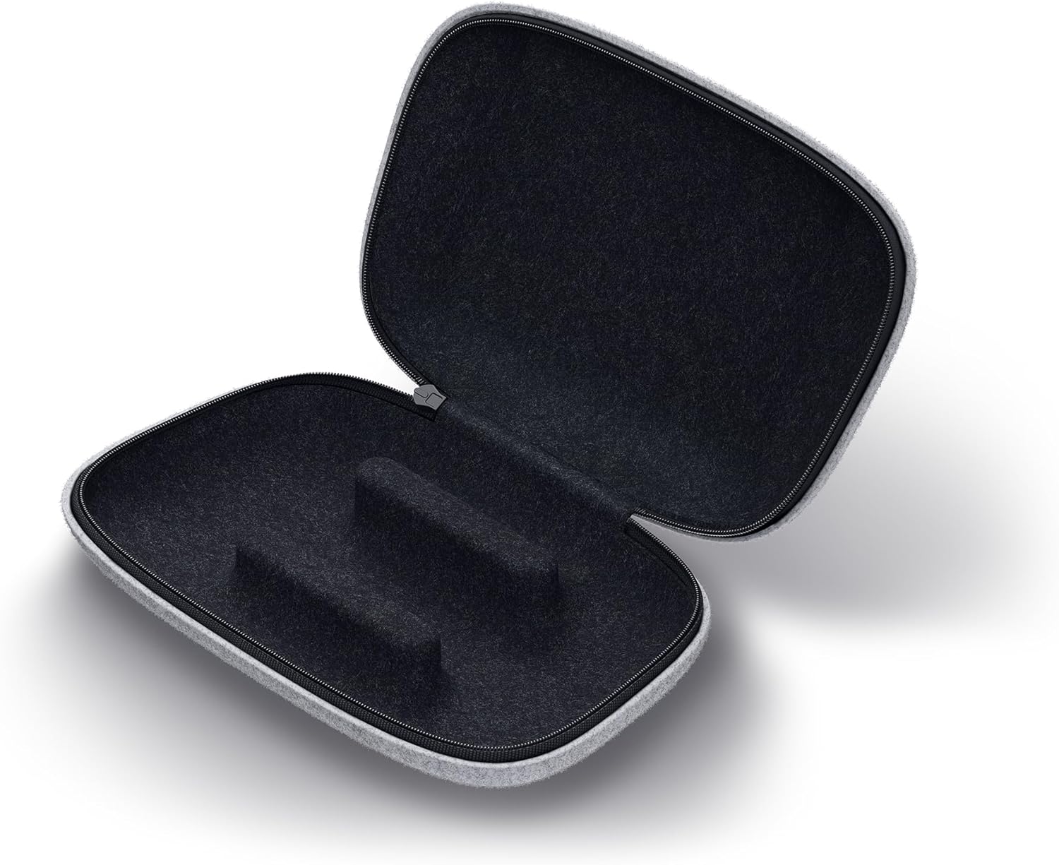 BackBone carrying case