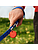 Chipolo POP 4 Pack - Tracking tag compatible with the Apple Find My or Google's Find My Device (Black, Red, White, Blue)