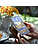 Elago Samsung Galaxy Z Fold 7 Tempered Glass Screen Protector