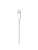 Apple USB to Lightning Cable 1M