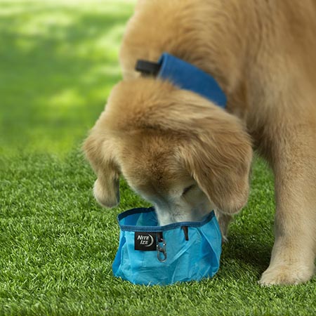 Niteize RadDog Collapsible Bowl