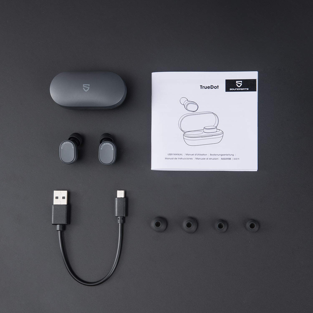 Soundpeats TrueDot Wireless Earbuds Vortek