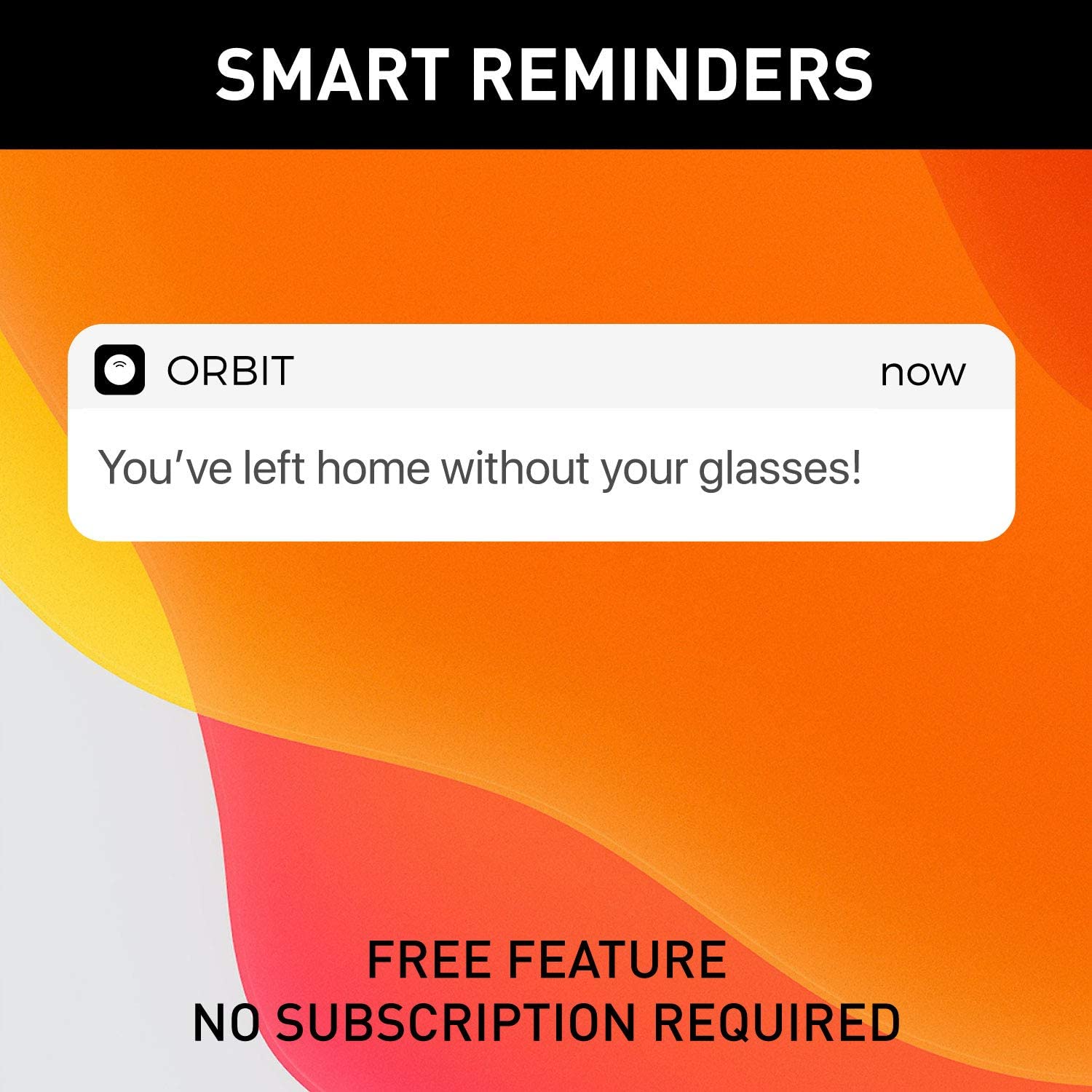 Orbit Glasses - Black