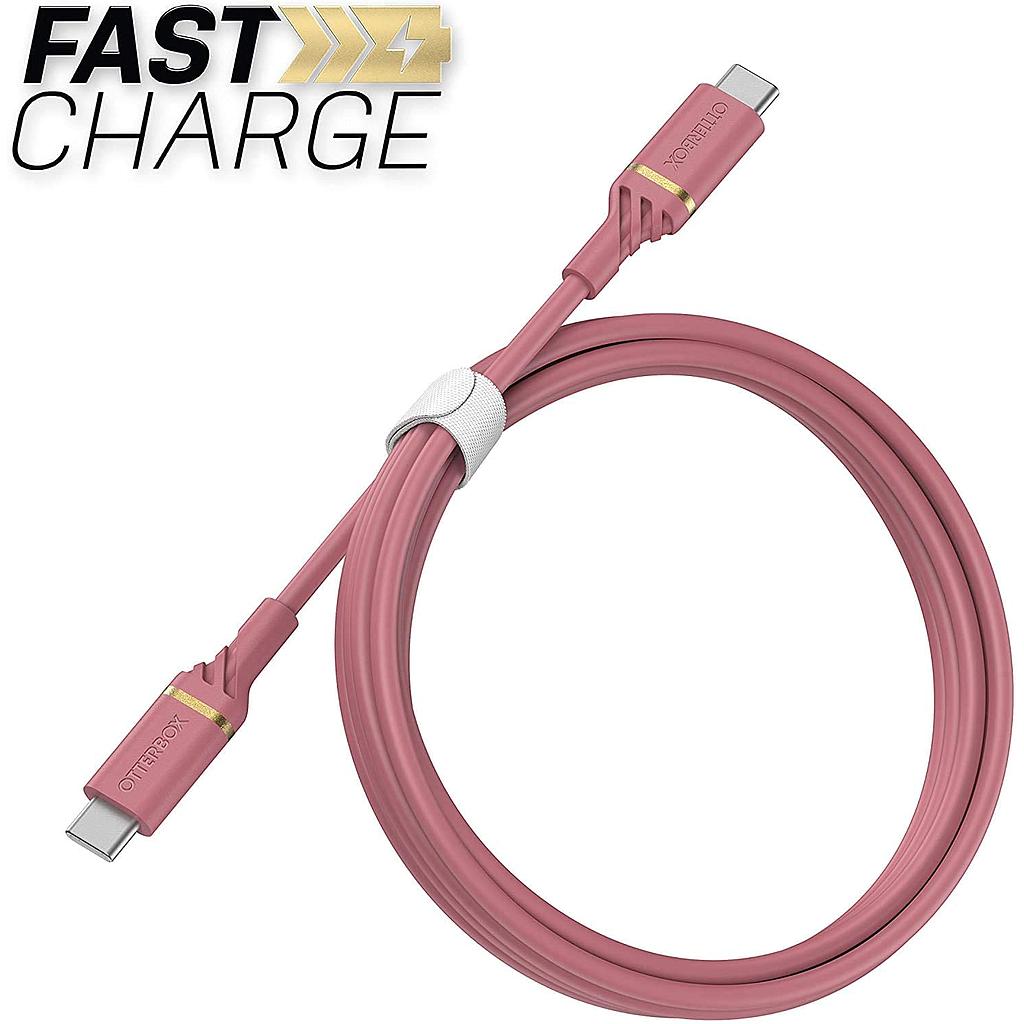 OtterBox USB-C to USB-C Fast Charge Cable - Standard 1 Meter